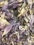 Sacred Lotus, Nelumbo nucifera, 1 kg Pink Petals ~ Schmerbals Herbals®