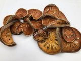 Dried Bael Fruit Slices, Aegle marmelos, For Sale From Schmerbals Herbals