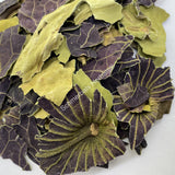 Blue Lotus Leaf, Nymphaea caerulea, All Natural ~ For Sale From Schmerbals Herbals®