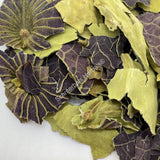 Blue Lotus Leaf, Nymphaea caerulea, All Natural ~ For Sale From Schmerbals Herbals®