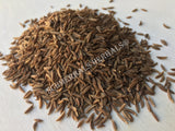 Dried Whole Caraway Seed, Carum carvi, for Sale from Schmerbals Herbals