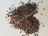 Dried Cardamom Hulled Seeds, Elettaria cardamomum, for Sale from Schmerbals Herbals