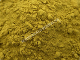Dried Cassumunar Ginger Rhizome Powder, Zingiber cassumunar, for Sale from Schmerbals Herbals