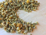 Dried Egyptian Grown Organic Chamomile, Matricaria recutita, for Sale from Schmerbals Herbals