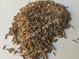 Dried Whole Cumin Seed, Cuminum cyminum, for Sale from Schmerbals Herbals