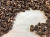 Dried Roasted Dandelion Root, Taraxacum officinale, for Sale From Schmerbals Herbals
