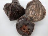 Dried Large Chunks of Dragon's Blood, Daemonorops draco, for Sale from Schmerbals Herbals