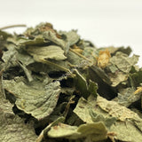 Dried Mexican Dream Herb Leaf, Calea Zacatechichi, for Sale from Schmerbals Herbals
