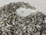Dried Echinacea Root, Echinacea angustifolia, for Sale from Schmerbals Herbals