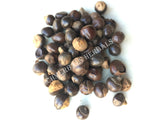 Dried Whole Unroasted Guarana Seed, Paullinia cupana, for Sale from Schmerbals Herbals