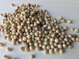 Dried Whole White Peppercorn, Piper nigrum, for Sale from Schmerbals Herbals