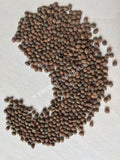Dried All Natural Rivea corymbosa, Viable Untreated Ololiuqui Seeds for Sale from Schmerbals Herbals