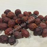 1 kg Dried All Natural Rose Hips Whole Berries, Rosa canina, Wholesale from Schmerbals Herbals