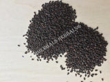 Dried Black Whole Sesame Seed, Sesamum indicum, for Sale from Schmerbals Herbals