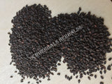 Dried Black Whole Sesame Seed, Sesamum indicum, for Sale from Schmerbals Herbals