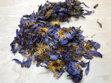 Dried Blue Lotus Whole Flower, Nymphaea caerulea, Siamese Dream, For Sale from Schmerbals Herbals
