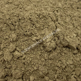 1 kg Dried All Natural Stone Breaker Plant Powder, Phyllanthus urinaria, Wholesale from Schmerbals Herbals