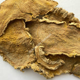 1 kg Dried All Natural White Turmeric Rhizome Slices, Curcuma zedoaria, Wholesale from Schmerbals Herbals