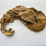 1 kg Dried All Natural White Turmeric Rhizome Slices, Curcuma zedoaria, Wholesale from Schmerbals Herbals