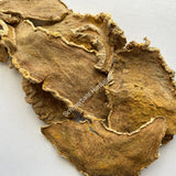 1 kg Dried All Natural White Turmeric Rhizome Slices, Curcuma zedoaria, Wholesale from Schmerbals Herbals