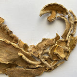 1 kg Dried All Natural White Turmeric Rhizome Slices, Curcuma zedoaria, Wholesale from Schmerbals Herbals