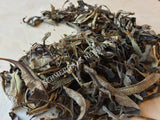 Dried Wild-Crafted Yerba Santa Whole Leaf, Eriodictyon californicum, for Sale from Schmerbals Herbals