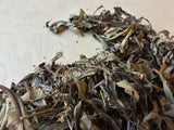 Dried Wild-Crafted Yerba Santa Whole Leaf, Eriodictyon californicum, for Sale from Schmerbals Herbals