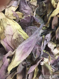 Sacred Lotus, Nelumbo nucifera, Pink Petals ~ Schmerbals Herbals®