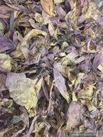 Sacred Lotus, Nelumbo nucifera, Pink Petals ~ Schmerbals Herbals®