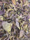 Sacred Lotus, Nelumbo nucifera, Pink Petals ~ Schmerbals Herbals®