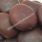 African Dream Herb Seeds, Entada rheedii, Whole Seeds, Wild-Crafted, For Sale From Schmerbals Herbals