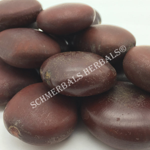 African Dream Herb, Entada rheedii, 1 kg Wild-Crafted Whole Seeds ~ Sc ...
