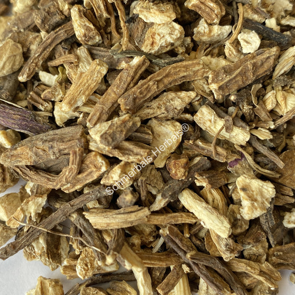 Dried Angelica Root, Angelica archangelica, ~ For Sale From Schmerbals Herbals