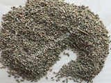 Dried Whole Anise Seed, Pimpinella anisum, For Sale from Schmerbals Herbals