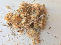 Dried Whole Arnica Flower and Stem, Heterotheca inuloides, For Sale from Schmerbals Herbals