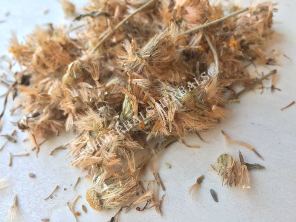 1 kg Dried Whole Arnica Flower and Stem, Heterotheca inuloides, For Sale from Schmerbals Herbals