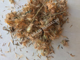 Dried Whole Arnica Flower and Stem, Heterotheca inuloides, For Sale from Schmerbals Herbals