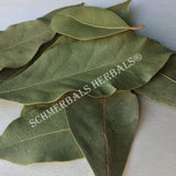 Dried Whole Bay Leaf, Laurus nobilis, For Sale from Schmerbals Herbals
