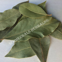 Dried Whole Bay Leaf, Laurus nobilis, For Sale from Schmerbals Herbals