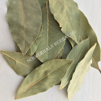 Dried Whole Bay Leaf, Laurus nobilis, For Sale from Schmerbals Herbals