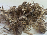 Dried Wild-Crafted Blue Cohosh Root, Caulophyllum thalictroides, For Sale from Schmerbals Herbals