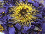 Dried Organic Whole Flower Blue Lotus, Nymphaea caerulea, "Siamese Dream™" For Sale from Schmerbals Herbals