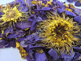 Whole Flower Blue Lotus, Nymphaea caerulea, "Siamese Dream™" For Sale from Schmerbals Herbals