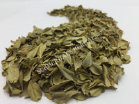 Dried Buchu Leaf, Agathosma betulina, for Sale from Schmerbals Herbals