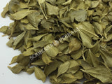 Dried Buchu Leaf, Agathosma betulina, for Sale from Schmerbals Herbals