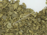 Dried Buchu Leaf, Agathosma betulina, for Sale from Schmerbals Herbals