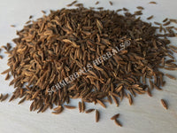 Dried Whole Caraway Seed, Carum carvi, for Sale from Schmerbals Herbals