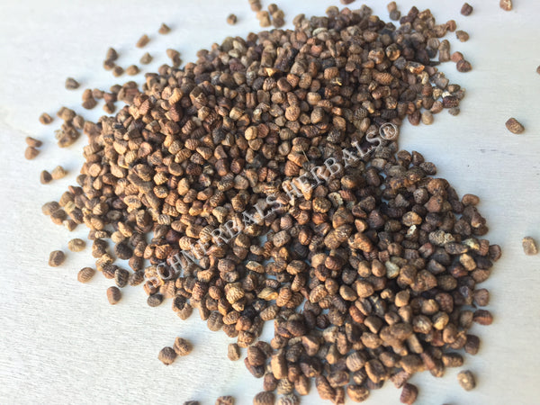 Dried Organic Cardamom Hulled Seeds, Elettaria cardamomum, for Sale from Schmerbals Herbals