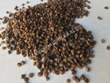 Dried Cardamom Hulled Seeds, Elettaria cardamomum, for Sale from Schmerbals Herbals