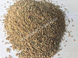 Dried Celery Seed, Apium graveolens, for Sale from Schmerbals Herbals